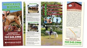 Cloverleaf Ranch Brochure