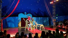 We offer a Circus Arts program, Circus Waldissima