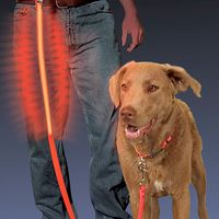 Lighted Dog Leashes