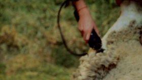 film still: "The SHEPHERD & The DOLLMAKER" (shear)