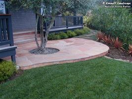 Flagstone Patio and Olive Tree