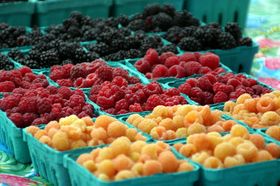 Rasberries @ Sebastopol Farmers Market