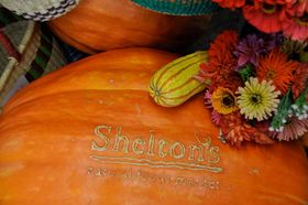 Shelton's Natural Foods Pumpkin