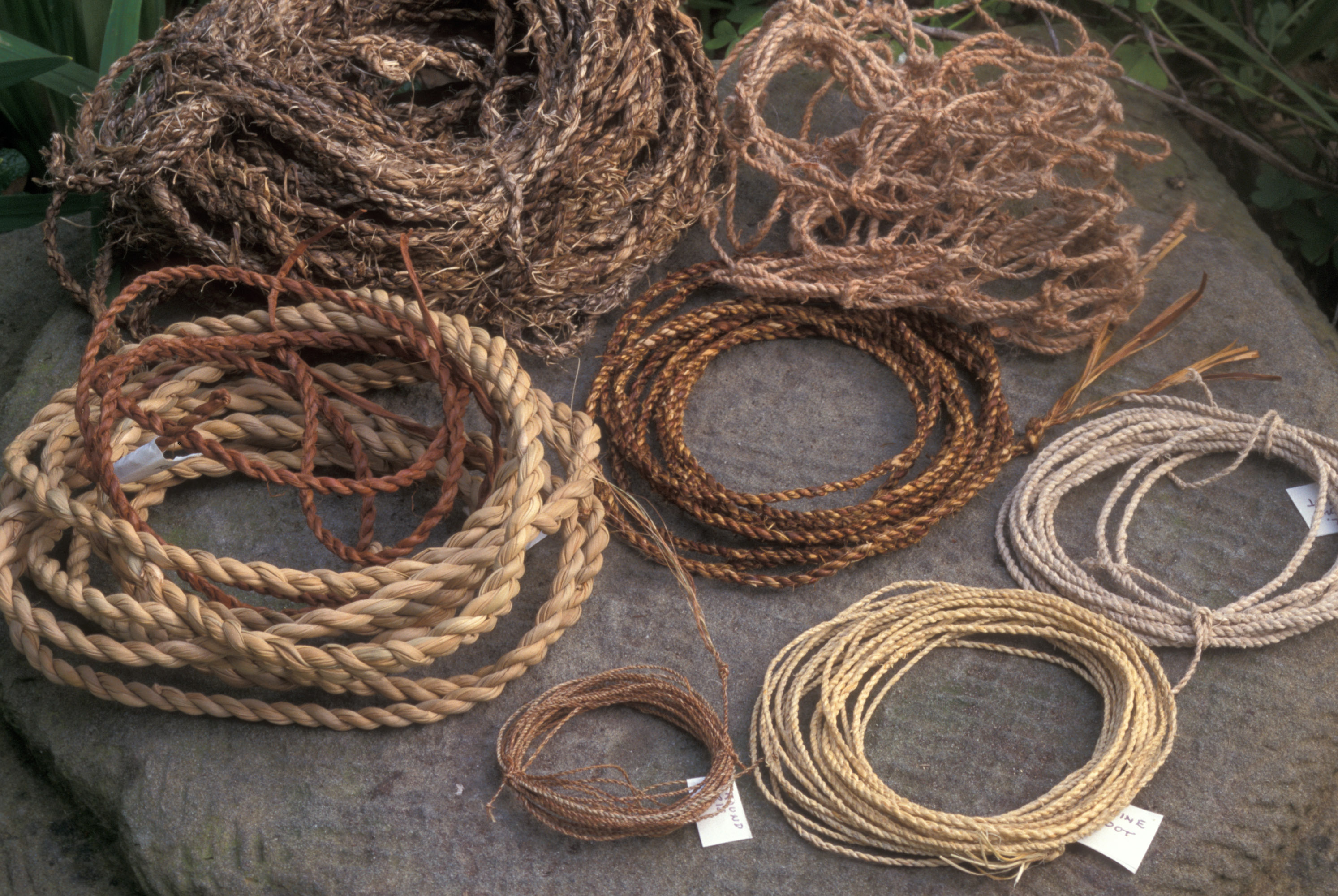 Cordage Making Materials and Techniques Workshop Events Sonoma