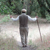 Forest Bathing Spa Meditation Retreat