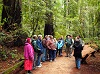 Wednesday Wellness Walks