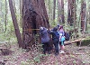 Project Learning Tree Workshop
