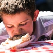 2018 Gravenstein Apple Fair