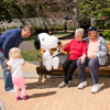 Grandparents Day