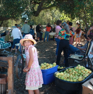 Harvest Party: A Celebration of Local Abundance!