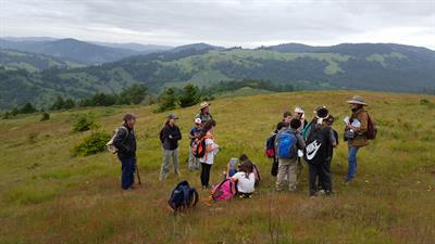 U.C. California Naturalist Certification: Spring 2019