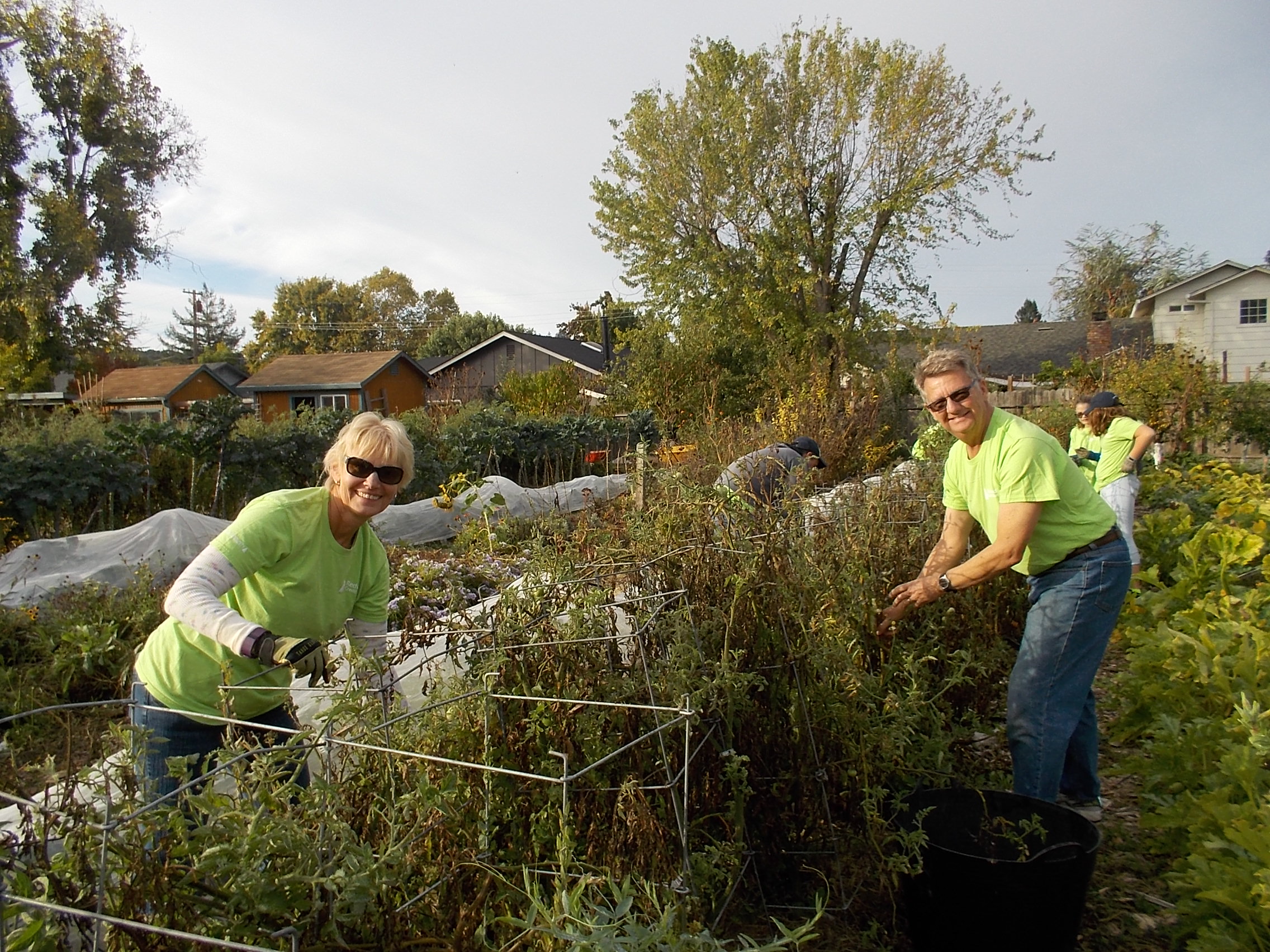 RCU Gives Back to Community Garden