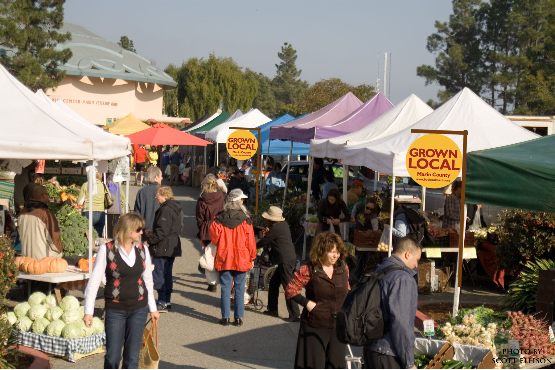 are dogs allowed at marin farmers market