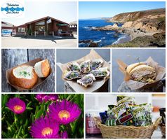 Fishetarian: The True Bodega Bay Experience!