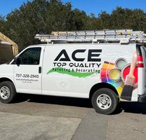 Ace Top Quality Painting1