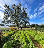 We have a 6-acre working Biodynamic® farm on campus 