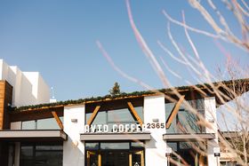 Local Business (Avid Coffee/WS Dvp)