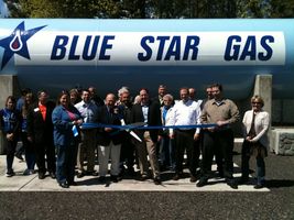 Blue Star Company