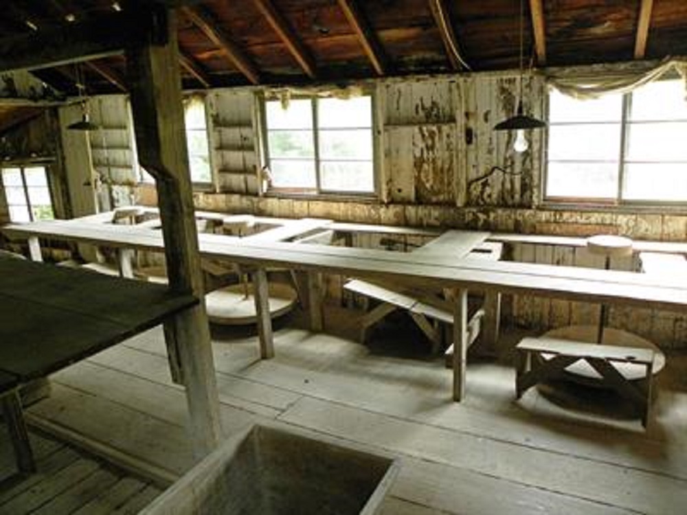 Pond Farm Docent-led Tour
